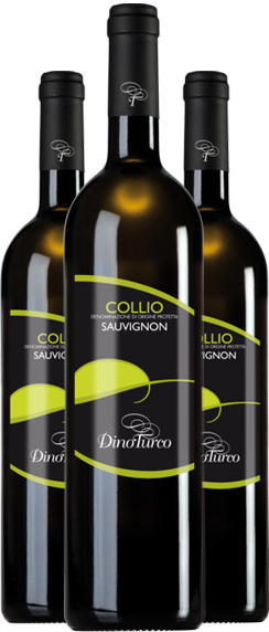 dino turco - Sauvignon
