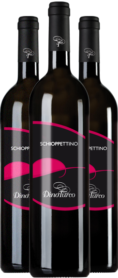 dino turco - Schioppettino